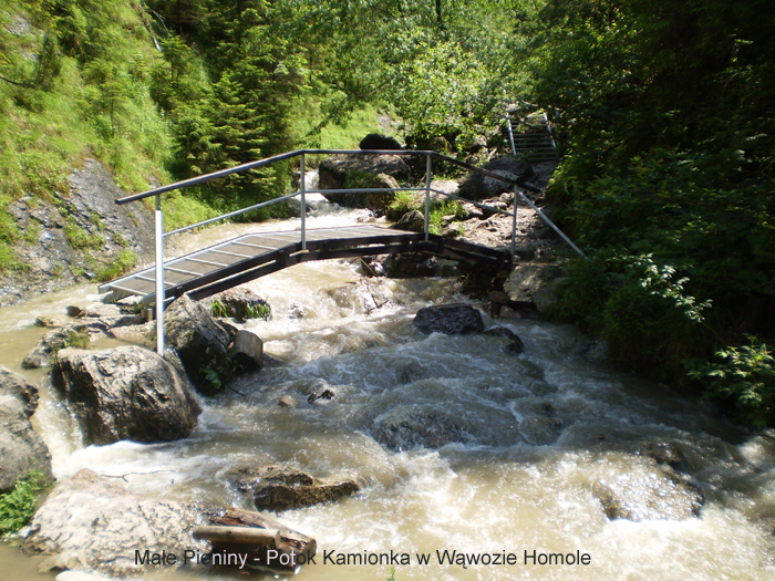 Male Pieniny - Potok Kamionka w wawozie Homole